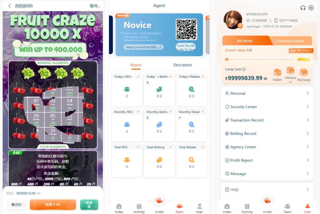 图片[3]-印度官方彩票平台源码/快三彩票/刮刮乐彩/PK10/越南红绿灯彩票/可控开奖